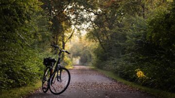 Ostatnia szansa na przejażdżkę rowerową w okolicy Lubonia