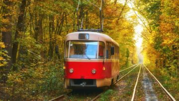 Wiatr powalił gałąź na sieć trakcyjną. Tramwaje przestają jeździć po Alei Wielkopolskiej