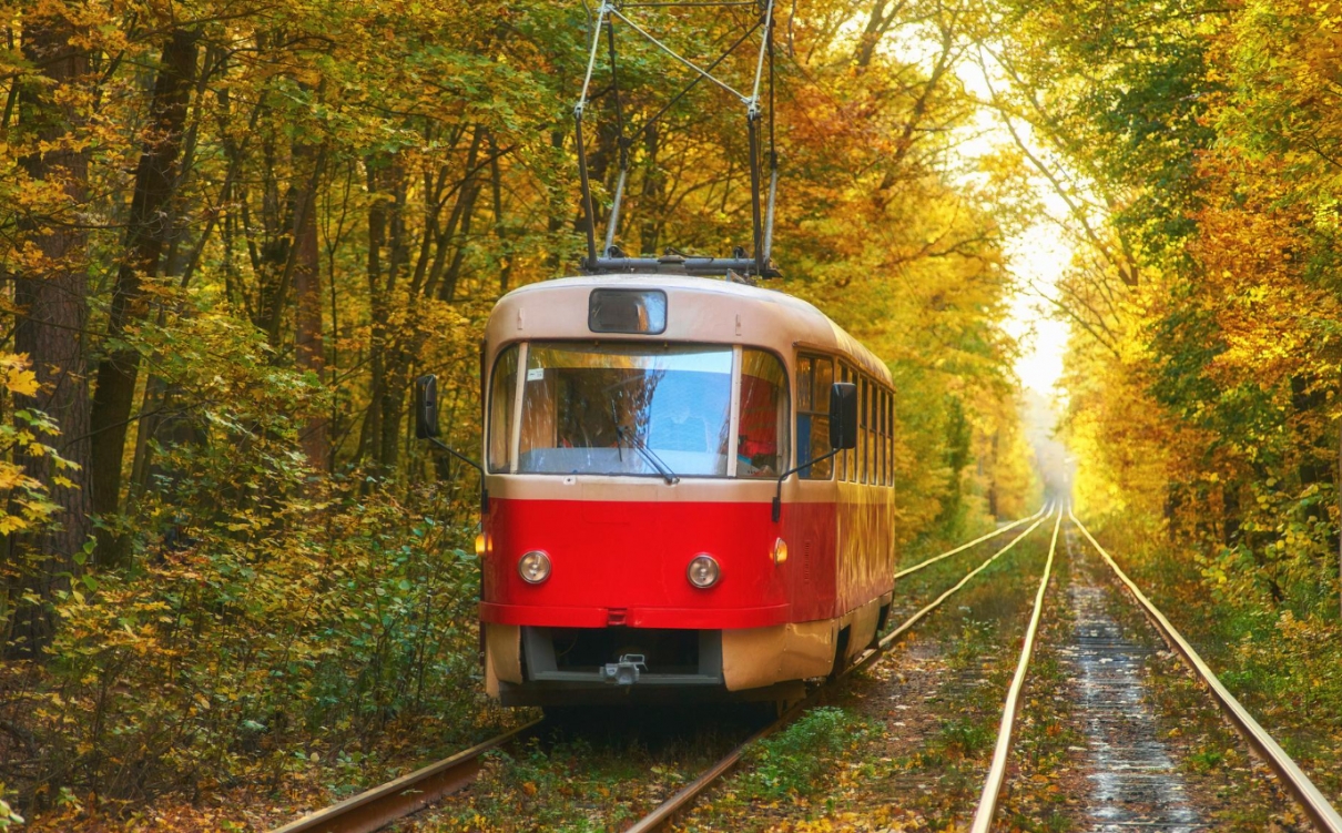 Wiatr powalił gałąź na sieć trakcyjną. Tramwaje przestają jeździć po Alei Wielkopolskiej