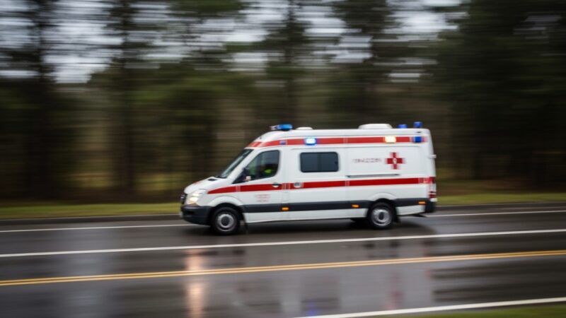 Policjanci ratują psa z rozgrzanego samochodu po dramatycznej interwencji w Luboniu