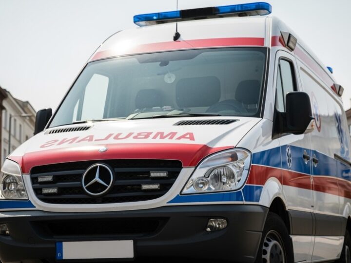 Interwencje OSP Plewiska: Uratowane ptaki i fałszywy alarm pożarowy