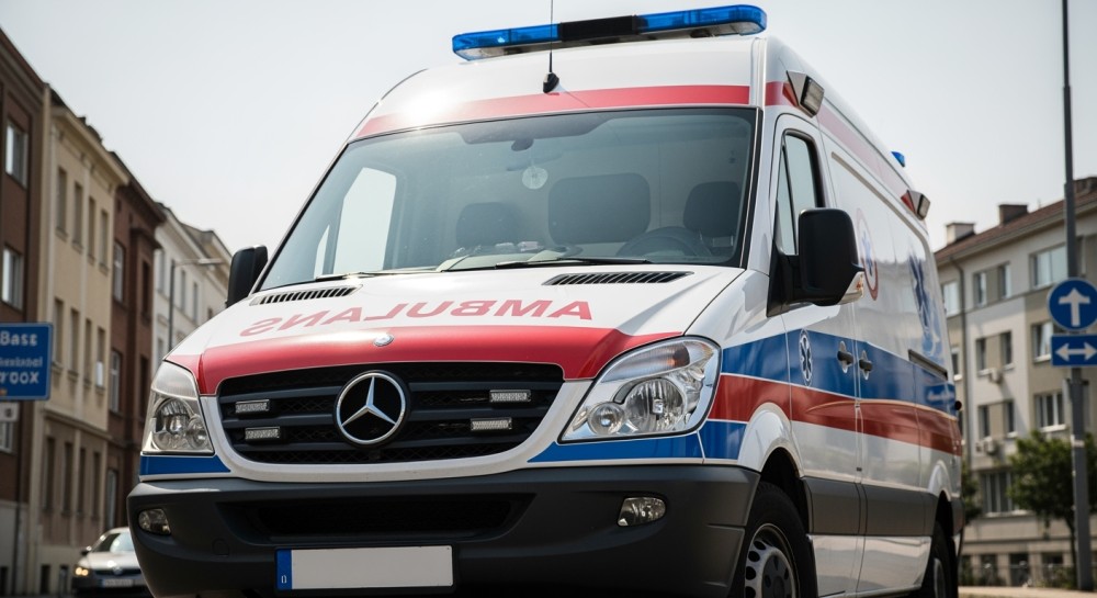 Interwencje OSP Plewiska: Uratowane ptaki i fałszywy alarm pożarowy