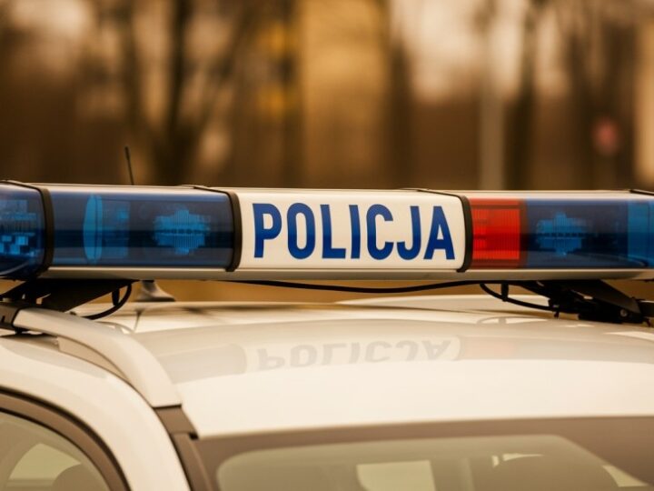 Konin – Policja i Straż Graniczna skutecznie eliminują nielegalny pobyt cudzoziemca