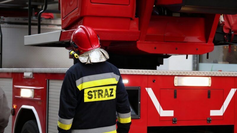 Nowy Rok z OSP Plewiska: podsumowanie działań i plany na przyszłość