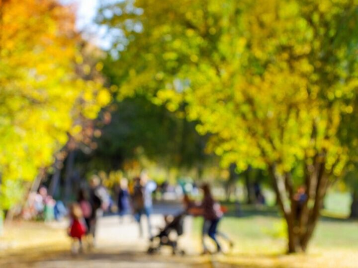 Wigilia Klubu Promyk: Świąteczne spotkanie seniorów w Luboniu