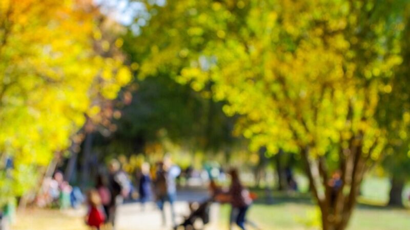 Wigilia Klubu Promyk: Świąteczne spotkanie seniorów w Luboniu