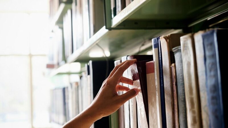 Weekendowe wizyty w Bibliotece Miejskiej – sprawdź harmonogram!