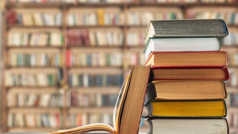 Kreatywne Warsztaty z Zebrami w Puszczykowie – dołącz do zabawy!