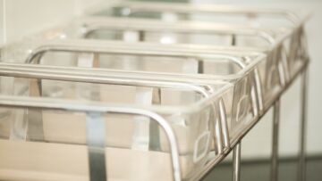 Zimowe wyzwania dla zwierząt – jak zadbać o swoich pupili?