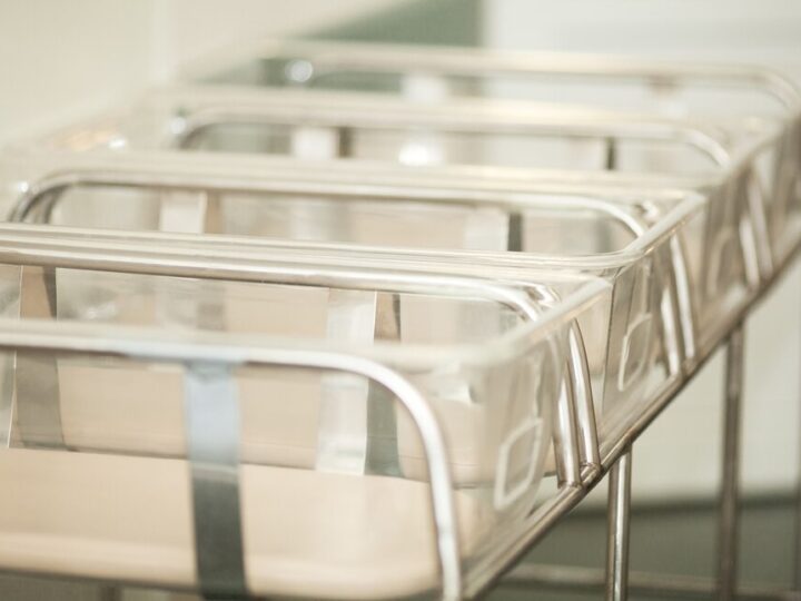 Zimowe wyzwania dla zwierząt – jak zadbać o swoich pupili?