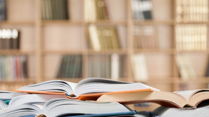 Ostatnia wystawa Mieczysława Hofy w Luboniu – nie przegap!