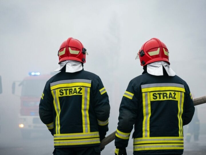 Pożar altany w Luboniu: akcja ratunkowa i tragiczne straty wśród papug