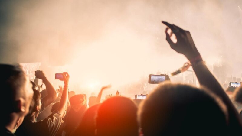 Bee Festyn w Puszczykowie – Rodzinne święto Dnia Ziemi w bliskości natury!