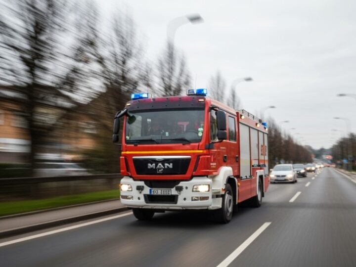 Szybka akcja strażaków w Luboniu: uratowano kota i opanowano pożar magazynu