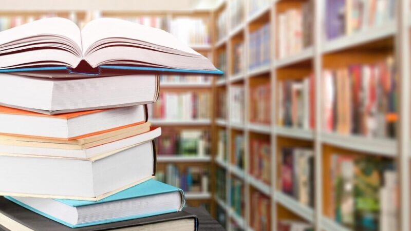 Kolorowy spektakl z Klaudkiem i Klaudynką w bibliotece!