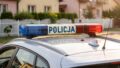 Leszno: kradzież w galerii i cztery zarzuty