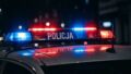 Odolanów: bracia podejrzani o kradzież 16 felg